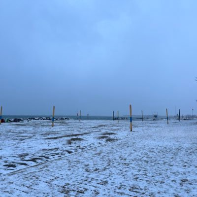 josephineho_'s profile picture. 