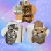 ai 🐈🐾MJM‘sほのぼの癒し団🐈🐾 (@mjm_0628ai) Twitter profile photo