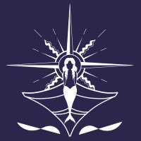 MaritimeDiscov's profile picture. Searching for lost shipwrecks