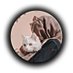 farah gul (@farahgul5931) Twitter profile photo farah gul (@farahgul5931) Twitter profile photo