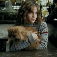 leticia (@fairchildshc) 's Twitter Profile