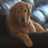 Clint Williams (@colt_fouru) 's Twitter Profile