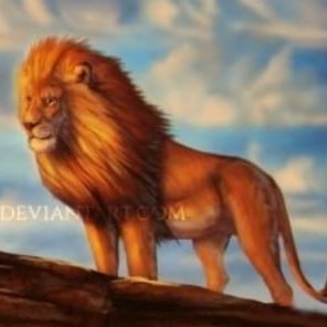 dropYs_df's profile picture. 