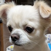 Hirokazu Ishida (@__hiroishida) 's Twitter Profile