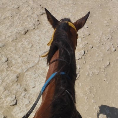 swag10100's profile picture. ‏‏‏صلي على خير الخلق