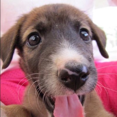 kevsess's profile picture. Christian, Husband, Father, Facility Manager