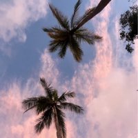 مـنى (@monaaalr_) Twitter profile photo