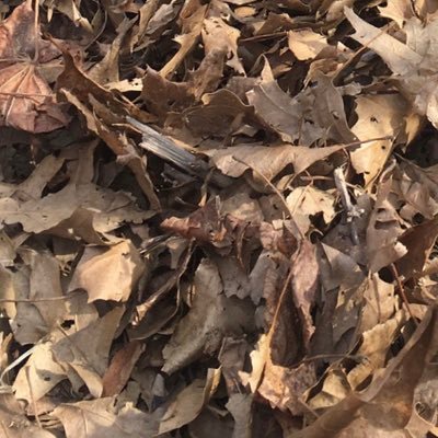 conto173649273's profile picture. 