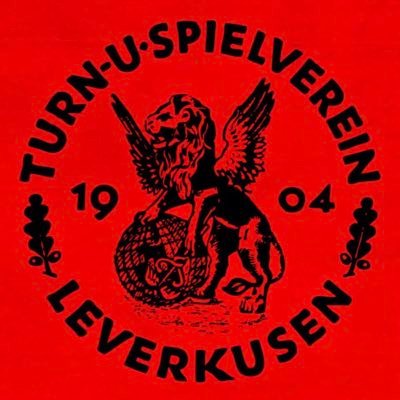 lako_svb's profile picture. 🇩🇪🇷🇺 | @bayer04fussball