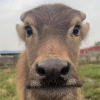 Tiến tài (@tientai2006) 's Twitter Profile