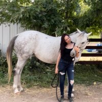 nicole (@strugglebuseq) 's Twitter Profile