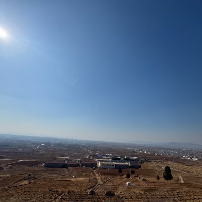 taiwangwsg33164's profile picture. 