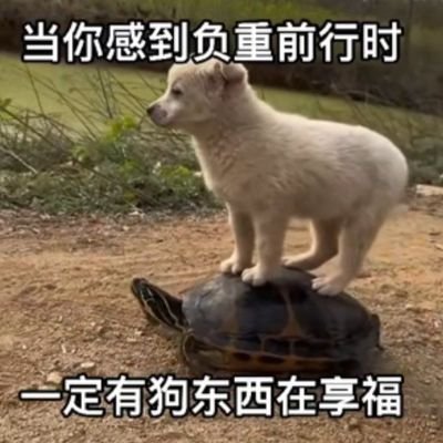 wng111119's profile picture. 