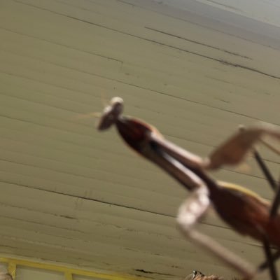 6rain5ick's profile picture. them ☆ xii.xxxi.xxii