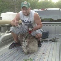 Nick Sheets (@sheetsnick9) 's Twitter Profile