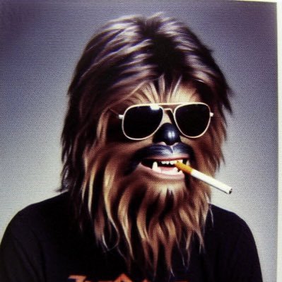 birdspiderbird's profile picture. 