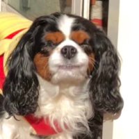 ゆきたん (@888mickey) 's Twitter Profile