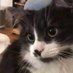 Jafet (@joshua756947251) Twitter profile photo Jafet (@joshua756947251) Twitter profile photo