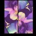 โก Princess RayRay โก RayRayIsHere โก (@princessaxrr) Twitter profile photo โก Princess RayRay โก RayRayIsHere โก (@princessaxrr) Twitter profile photo