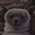 one_sleepy_boi (@daniel18169586) Twitter profile photo one_sleepy_boi (@daniel18169586) Twitter profile photo