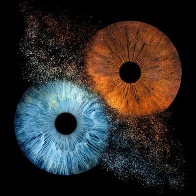 Wylderbeast3's profile picture. 
