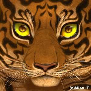 筒井海砂🐯イラストレーターさんのプロフィール画像