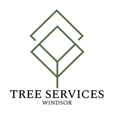 TreeSvcWindsor's profile picture. We are capable of handling various tree services such as tree removal, tree cutting, and emergency tree service in Windsor, ON.