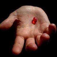 RedPill (@redpill105) 's Twitter Profile