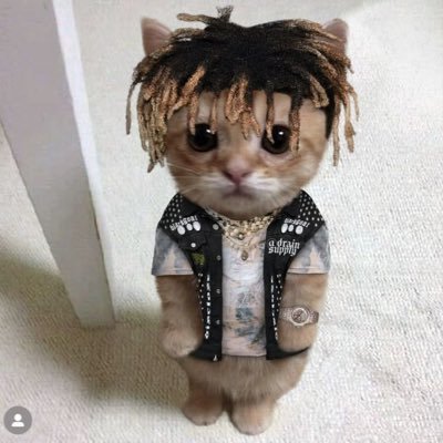 YBGAMING123's profile picture. #TransRights #BLM