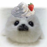 우동@低浮上 (@xiao_fano) 's Twitter Profile