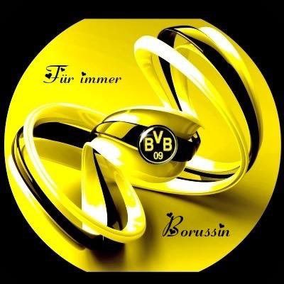 #TeamDeutschland 🇩🇪🫶 Herzensverein seit 1985 🖤💛 #echteLiebe 🕊️💚🌈 🌻 #NOAFD