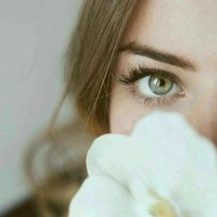 بنت صنعاء €n@r€ نور⊱ꕤ (@nor8586) 's Twitter Profile