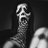 hashs1linging's profile image