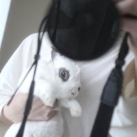 Yua (@shia_pm__) 's Twitter Profile Photo Yua (@shia_pm__) 's Twitter Profile Photo