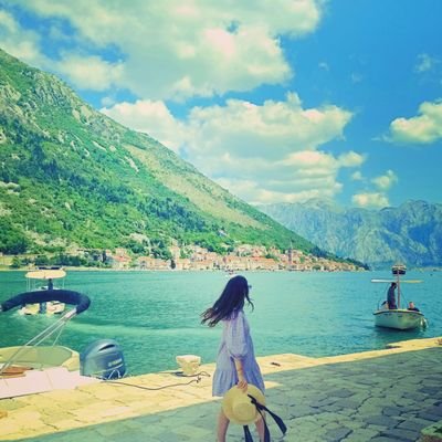 hellopettek's profile picture. 💎