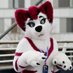 Aroura_snow_floof (@aroura_floof) Twitter profile photo Aroura_snow_floof (@aroura_floof) Twitter profile photo
