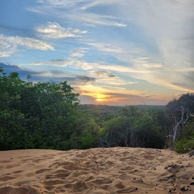 RomaDeX55's profile picture. 