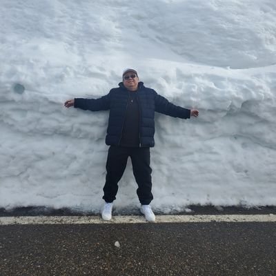 Minorubonioli's profile picture. PORCO PALESTRINO