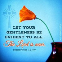 Abigael Maina (@abigaelmaina01) 's Twitter Profile