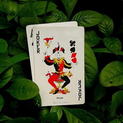 PBugfixer's profile picture. AI isn’t replacing us—it’s upgrading us.