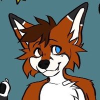 PuppyZebra 🔜 FWA 🐶🏳️🌈 (@puppyzebra_) 's Twitter Profile