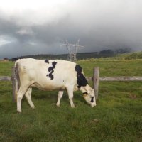 そそそ (@stud_ce_0624) Twitter profile photo