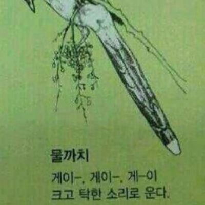 재현📿さんのプロフィール画像
