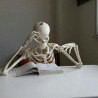 하울 (@hawoolonline) 's Twitter Profile