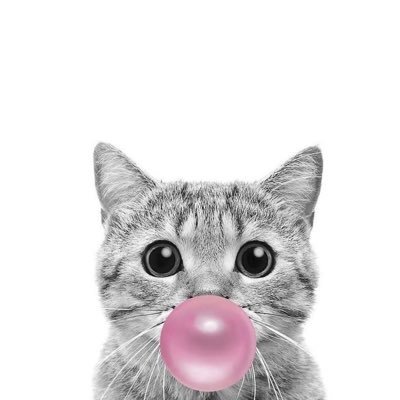 SomozZ's profile picture. ✿ ɪɢ: sᴏᴍᴏᴢᴢ || ᴄᴀʀᴇʙᴇᴀʀs 🤍ᴍᴏᴏᴍɪɴ ʕ•ᴥ•ʔ