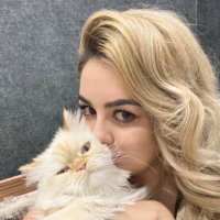 İpekk (@artloverlawyer) Twitter profile photo