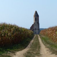 Hunstead Project (@hunsteadproject) 's Twitter Profile
