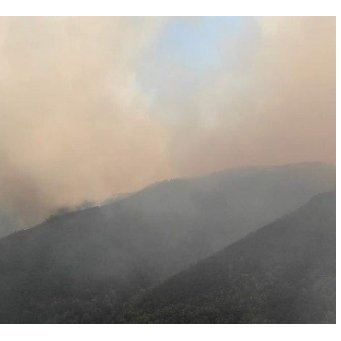 ARUNRUBAN's profile picture. happy bro