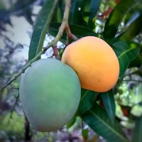 VISIT RUTSIRO (@visitrutsiro) 's Twitter Profile