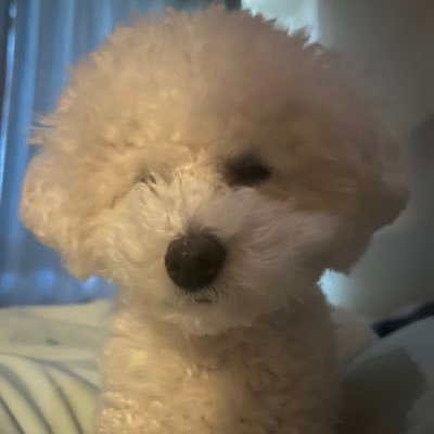 gauelaki0924's profile picture. 航空大学受験は、目が悪すぎるので断念しました。 ただ諦めきれないので、海外で自費で取ることを目指します。情報収集のため、突然DMをお送りしてしまうことがあるかもしれません。ご了承ください🙇‍♂️